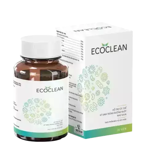 ecoclean