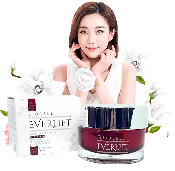 everlift